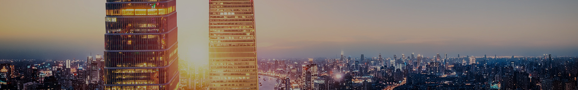 公司产品